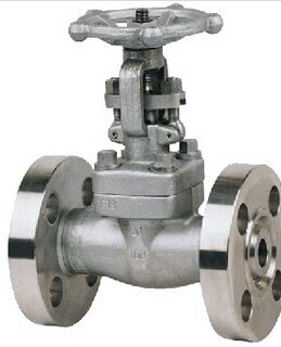 �ߜظ߉��p�l���l�y